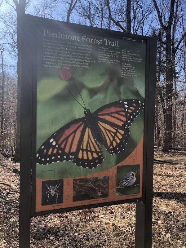 Piedmont Forest Trail Marker. Click for full size. Piedmont Forest Trail Marker image. Click for full size.