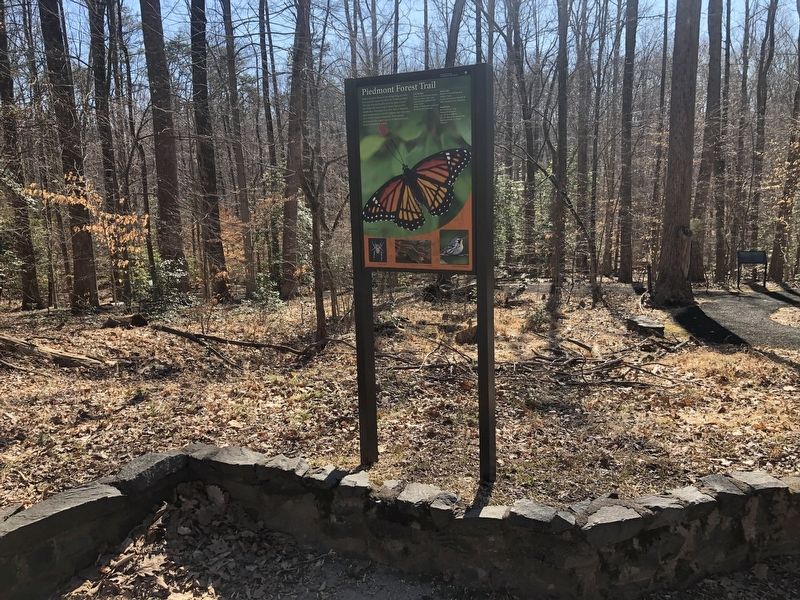 Piedmont Forest Trail Marker. Click for full size. Piedmont Forest Trail Marker image. Click for full size.
