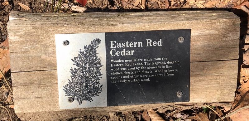 Eastern Red Cedar Marker image. Click for full size.