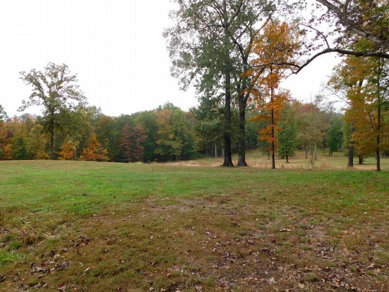 A Large Portion of the Triangular Clearing image. Click for full size.