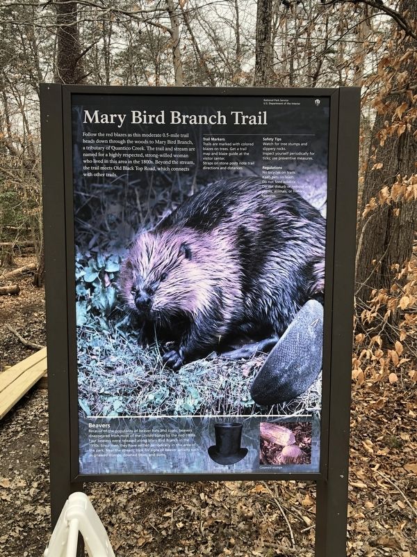 Mary Bird Branch Trail Marker image. Click for full size.