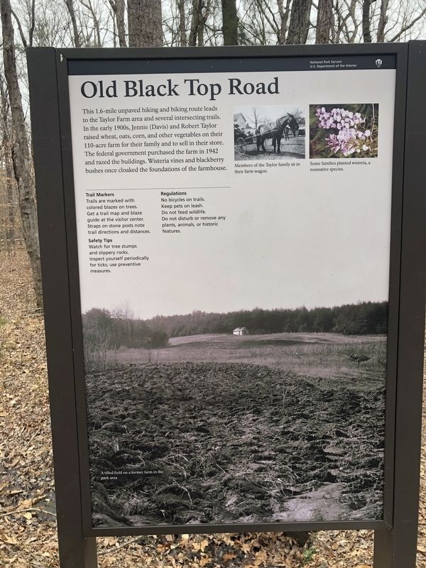 Old Black Top Road Marker image. Click for full size.