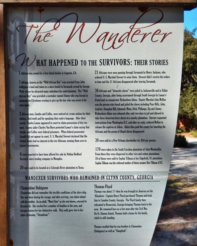 <i>The Wanderer</i> — What Happened to the Survivors: Their Stories Marker image. Click for full size.
