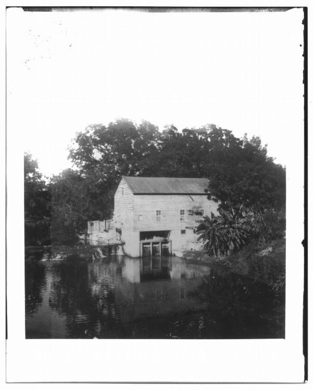 C. H. Guenther's Upper Mill on the San Antonio River image. Click for full size.