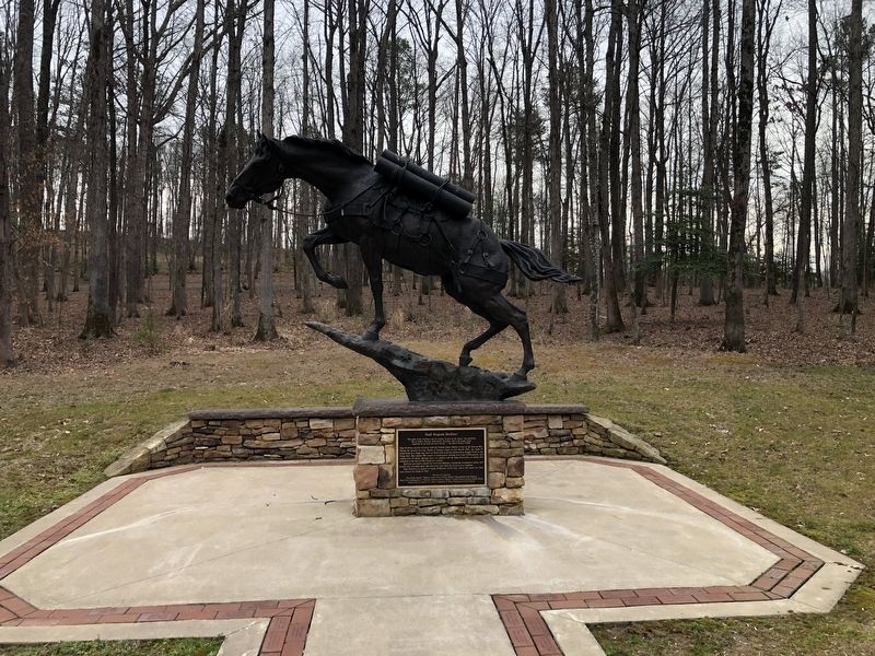 'Staff Sergeant Reckless' Memorial image. Click for full size.