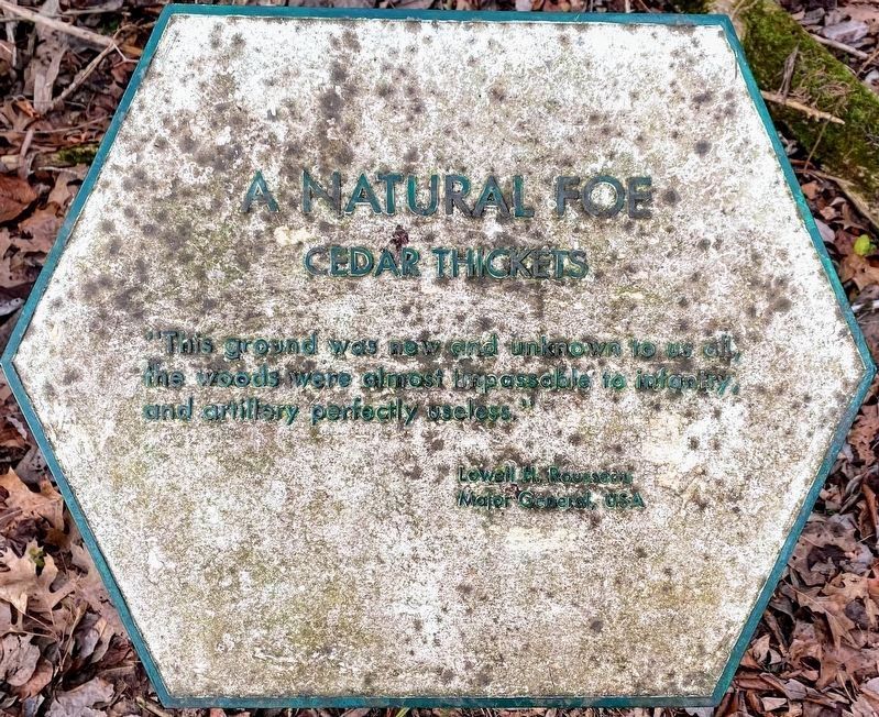 Another nearby marker image. Click for full size.