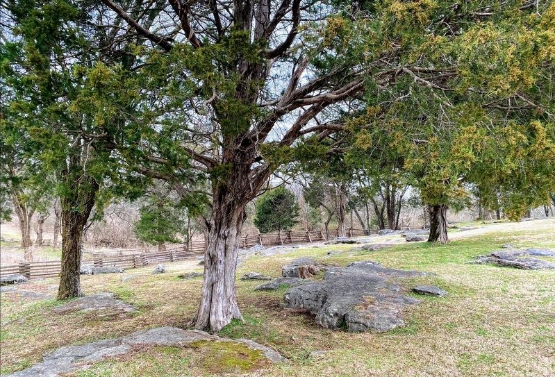 Rock Outcroppings near the marker image. Click for full size.
