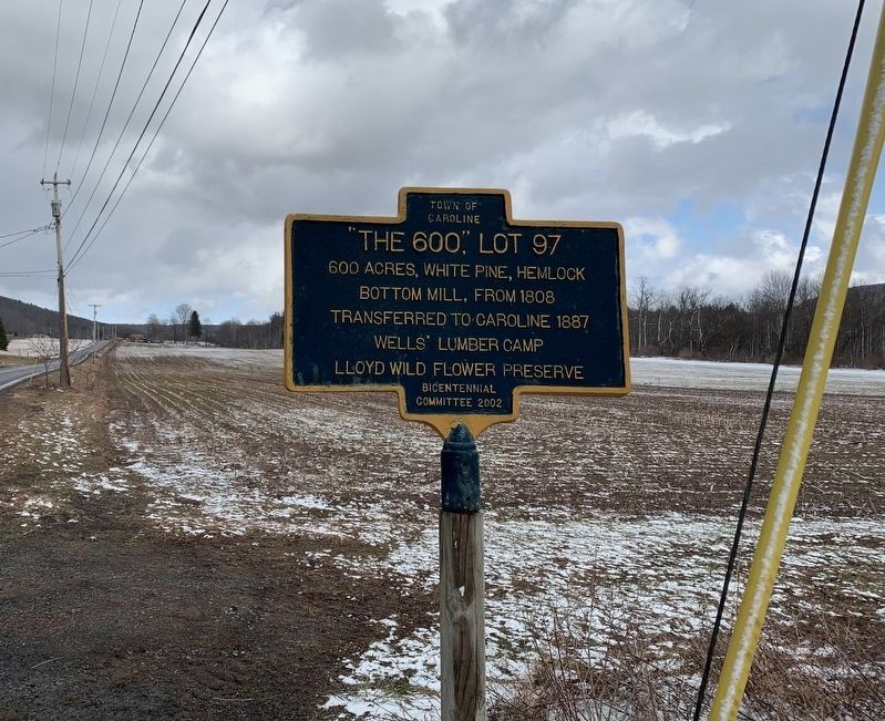 “The 600” Lot 97 Marker. Click for full size. “The 600” Lot 97 Marker image. Click for full size.