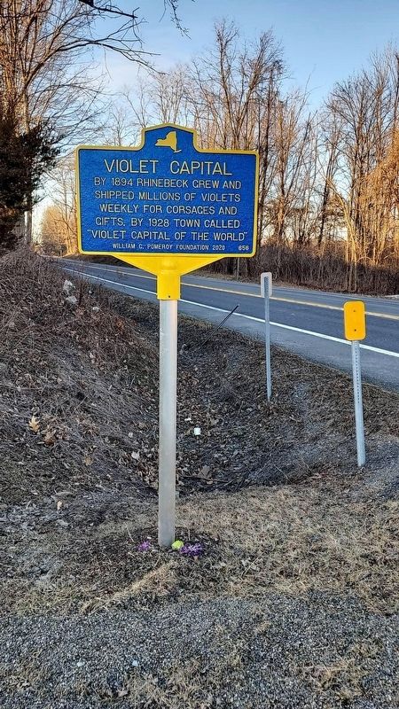 Violet Capital Marker image. Click for full size.