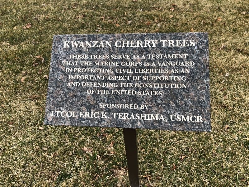 Kwanzan Cherry Tree Marker image. Click for full size.