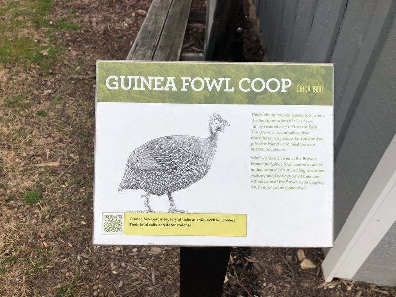 Guinea Fowl Coop Marker. Click for full size. Guinea Fowl Coop Marker image. Click for full size.