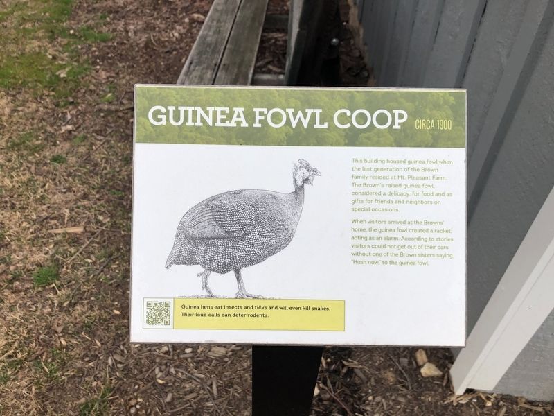 Guinea Fowl Coop Marker image. Click for full size.