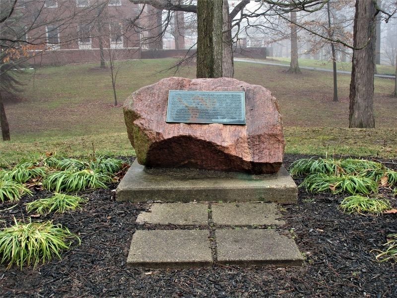 "Pioneer Rock" Marker image. Click for full size.