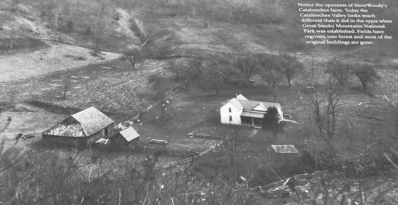 Marker detail: Steve Woody's Cataloochee Farm image. Click for full size.