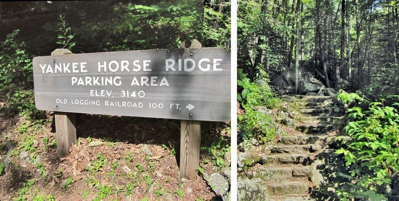 Yankee Horse Ridge Parking Area image. Click for full size.