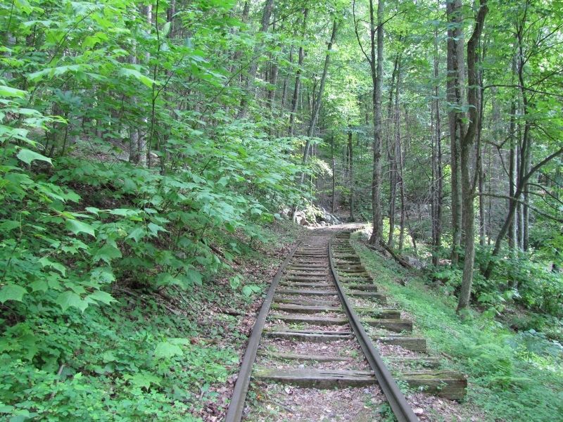 Old Logging Railroad image. Click for full size.