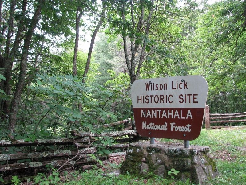 Wilson Lick Historic Site image. Click for full size.