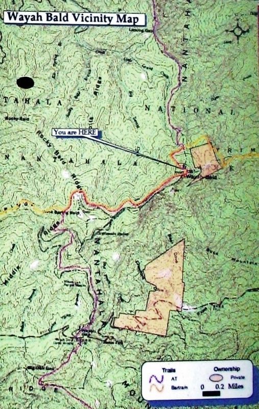 Wayah Bald Vicinity Map. Click for full size. Wayah Bald Vicinity Map image. Click for full size.