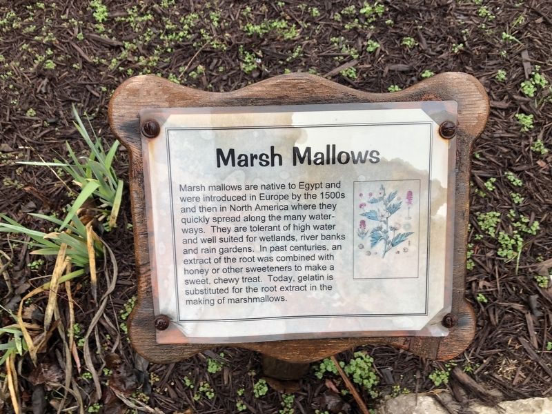 Marsh Mallows Marker image. Click for full size.