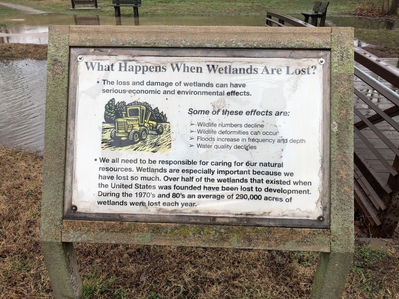 What Happens When Wetlands Are Lost? Marker. Click for full size. What Happens When Wetlands Are Lost? Marker image. Click for full size.