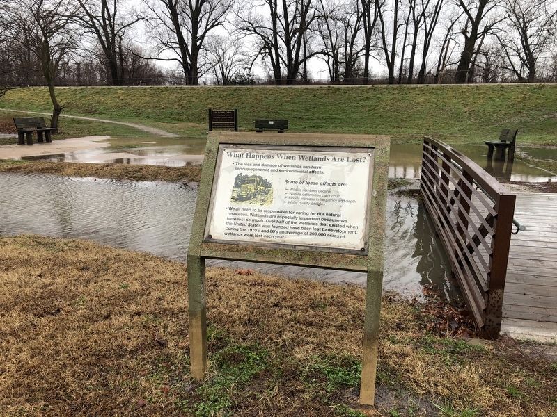 What Happens When Wetlands Are Lost? Marker. Click for full size. What Happens When Wetlands Are Lost? Marker image. Click for full size.