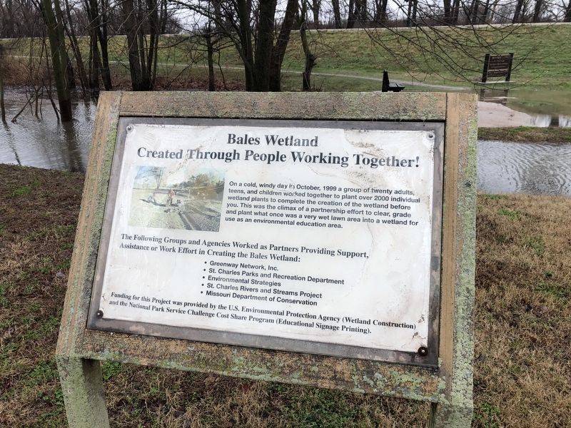 Bales Wetland Marker. Click for full size. Bales Wetland Marker image. Click for full size.