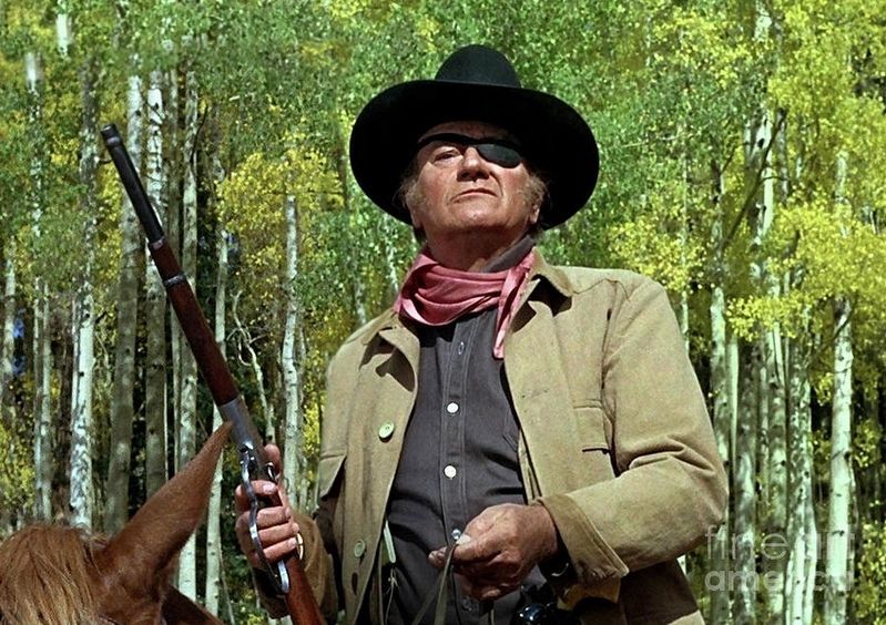 John Wayne as Rooster Cogburn. Click for more information. John Wayne as Rooster Cogburn image. Click for more information.