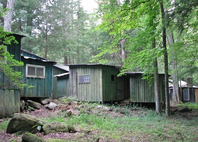 Elkmont Historic District image. Click for full size.