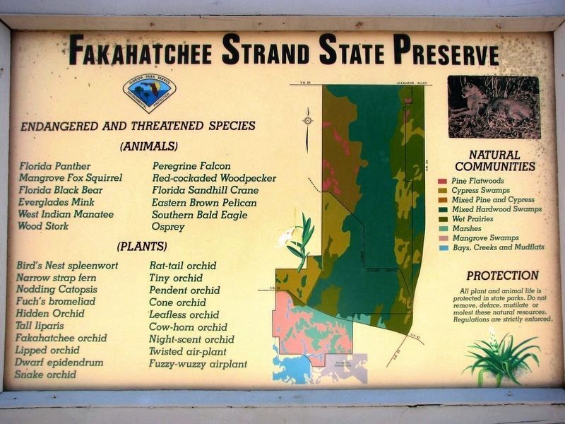 Fakahatchee Strand State Preserve Kiosk<br>(<i>located near marker</i>) image. Click for full size.