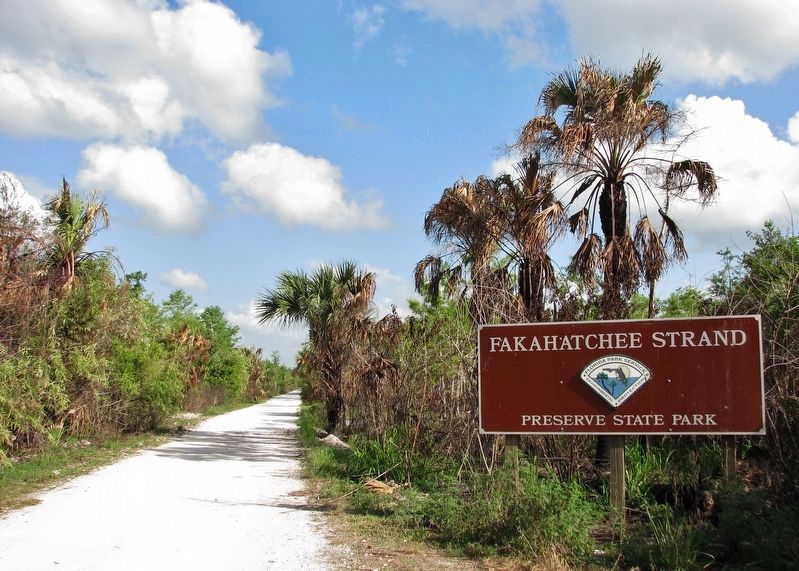 Fakahatchee Strand Preserve State Park Entrance image. Click for full size.