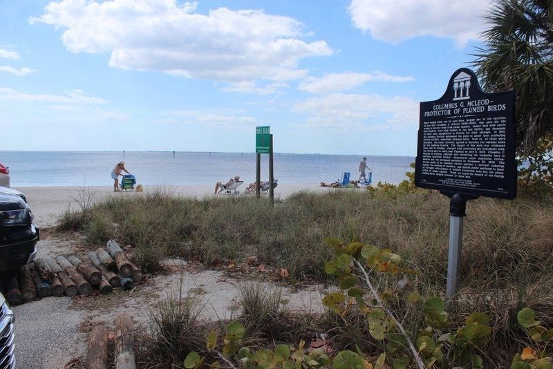 Columbus G. McLeod - Protector of Plumed Birds Marker looking west toward the Gulf. image. Click for full size.