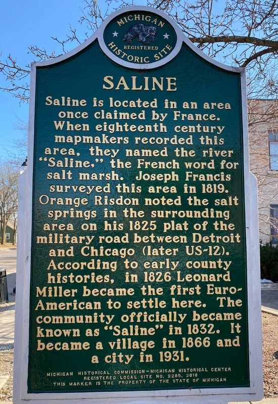 Salt Springs / Saline Marker image. Click for full size.