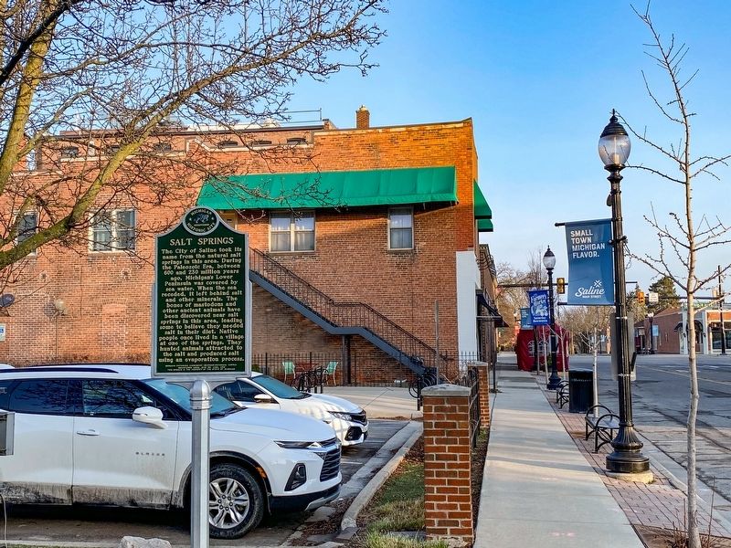 Salt Springs / Saline Marker at Saline Farmers Market image. Click for full size.