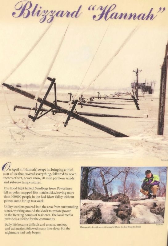 Blizzard "Hannah" Marker. Click for full size. Blizzard "Hannah" Marker image. Click for full size.