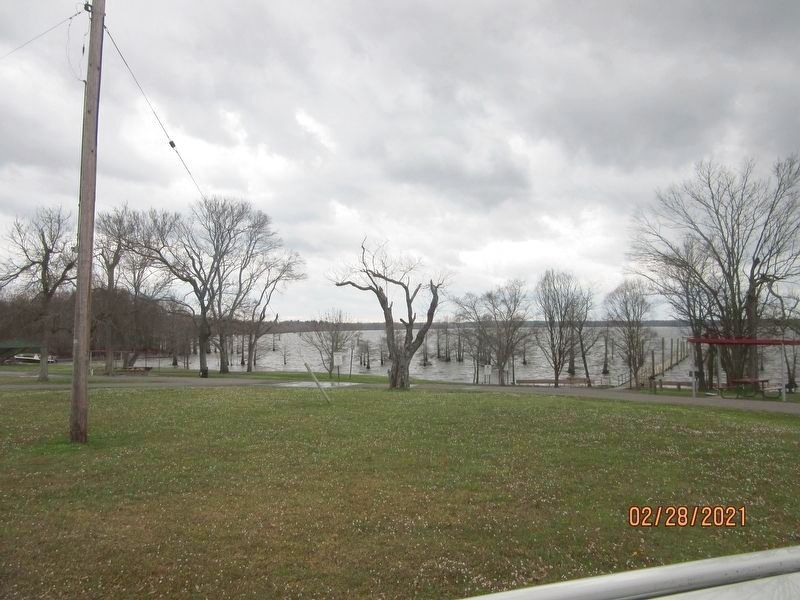 Caddo Lake. Click for full size. Caddo Lake image. Click for full size.