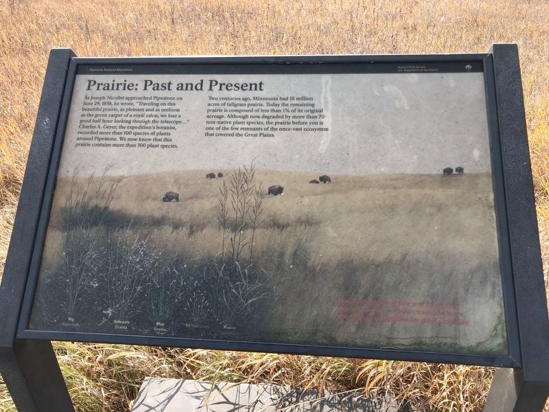 Prairie: Past and Present Marker image. Click for full size.