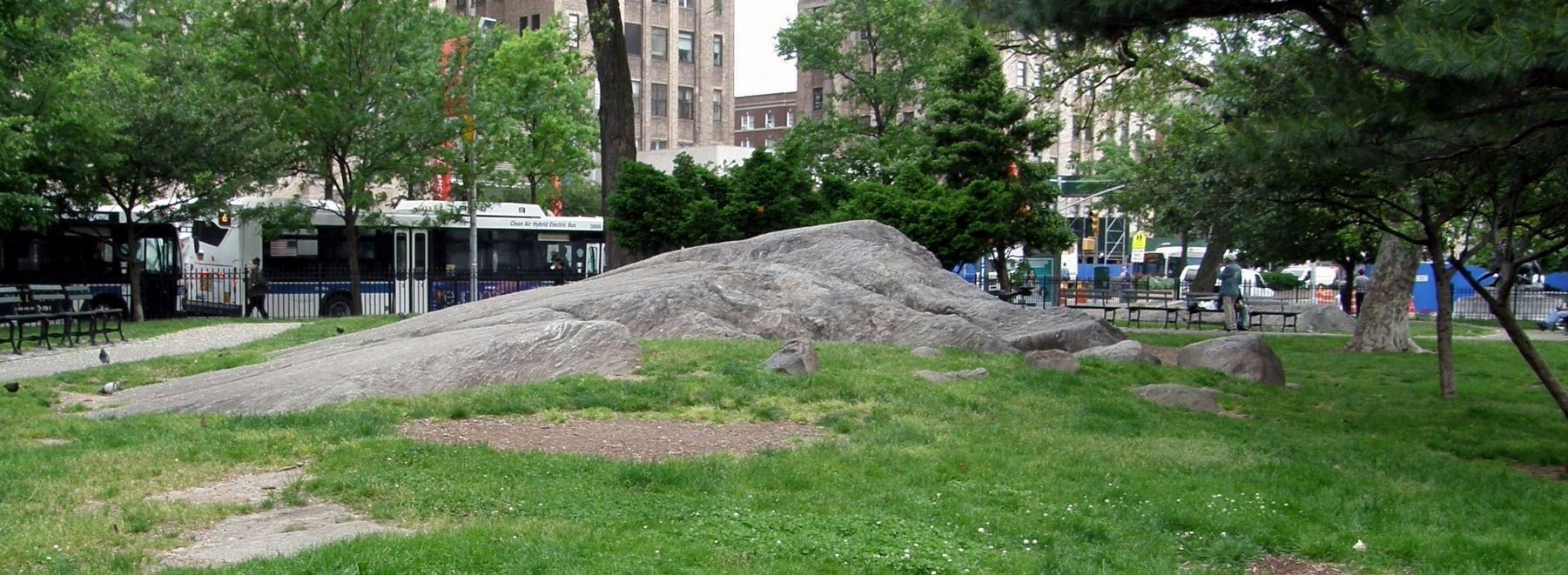 Park feature: A Manhattan schist outcropping image. Click for full size.