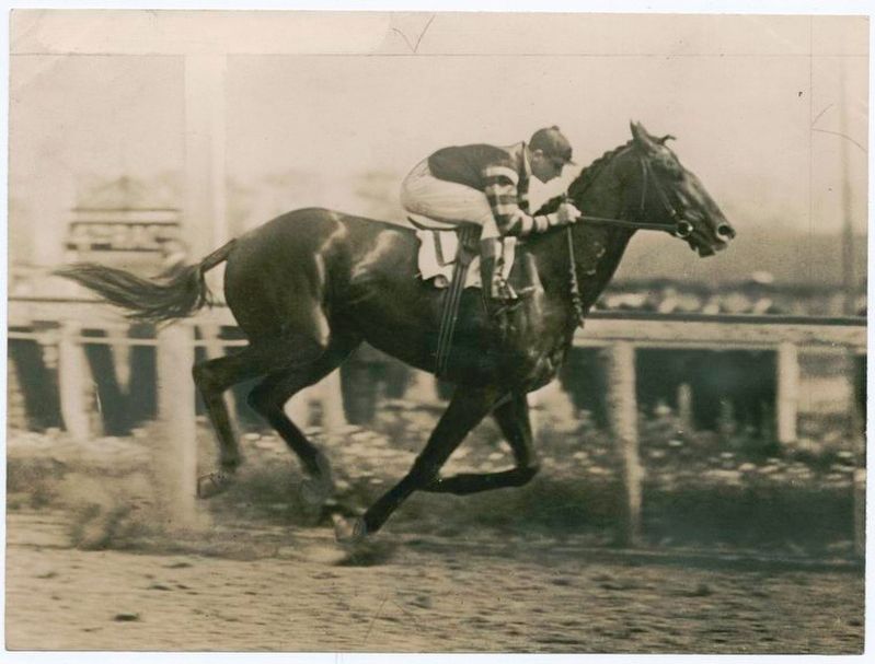 Man o' War in action image. Click for full size.