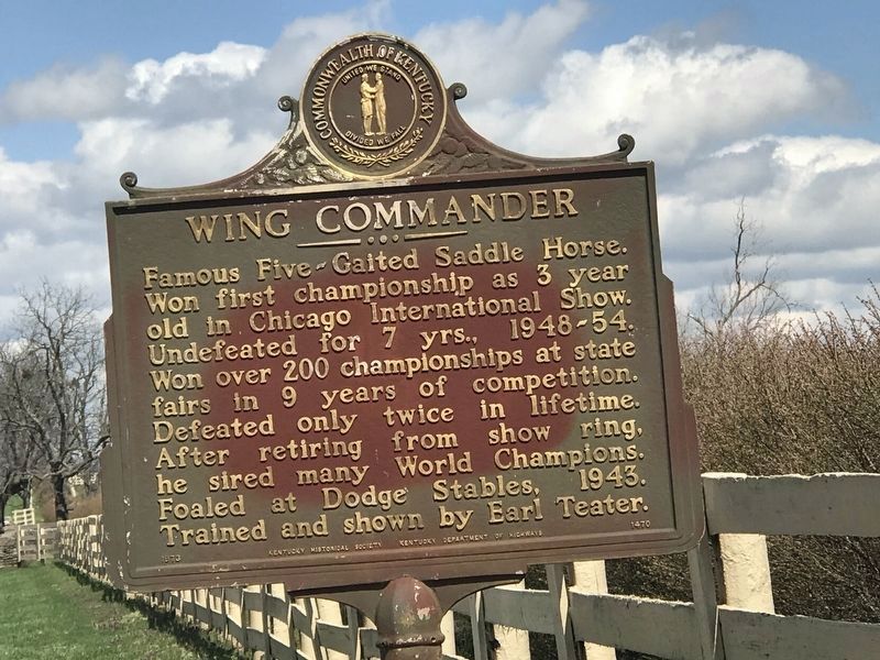 Wing Commander Marker image. Click for full size.