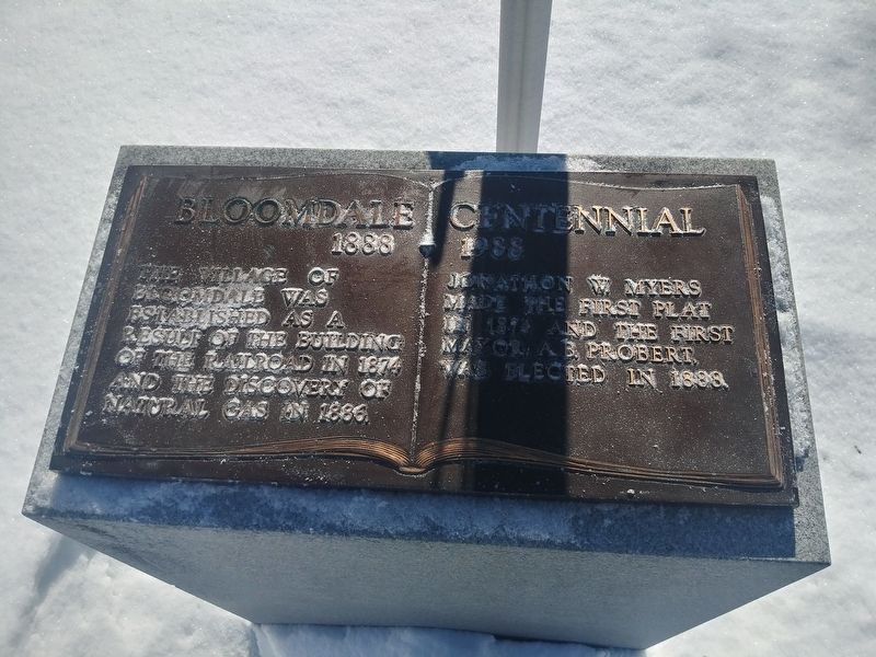 Bloomdale Centennial Marker. Click for full size. Bloomdale Centennial Marker image. Click for full size.