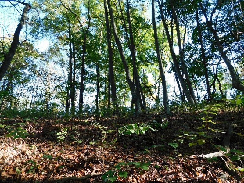 View From The Union Position image. Click for full size.