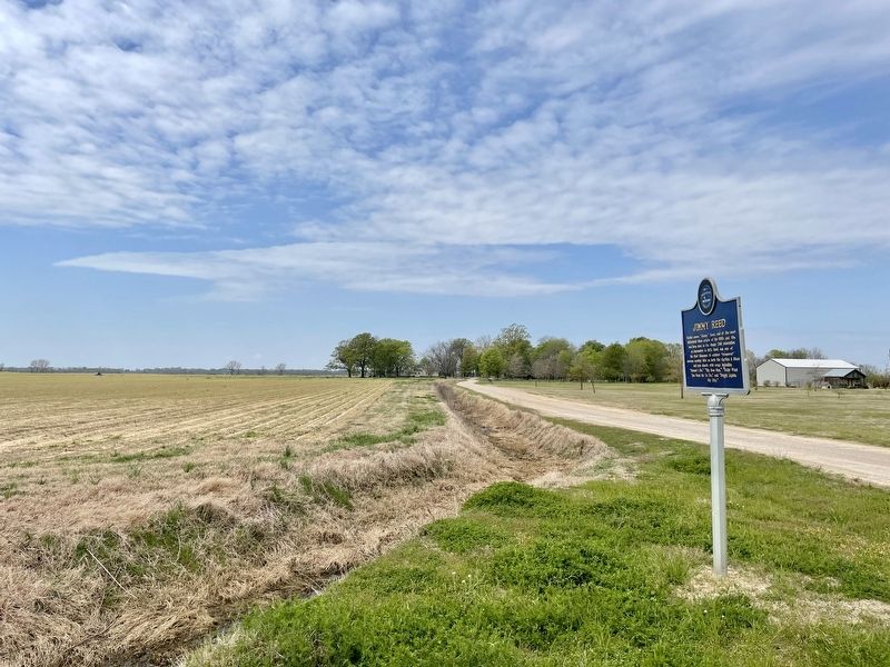 View from marker towards former plantation. image. Click for full size.