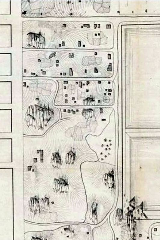 Detail of map of the pre-Central Park landscape showing the area of Seneca Village. image. Click for full size.