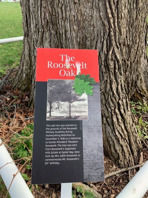The Roosevelt Oak Marker image. Click for full size.