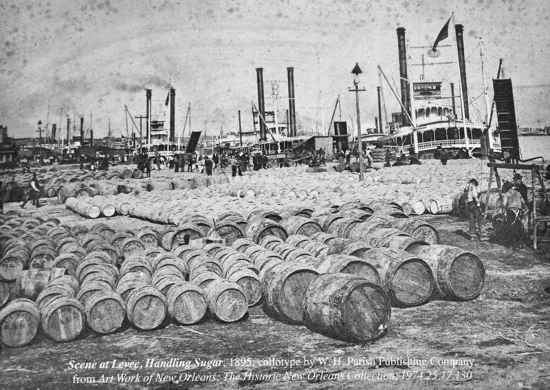Marker detail: Scene at Levee, Handling Sugar; 1895 image. Click for full size.