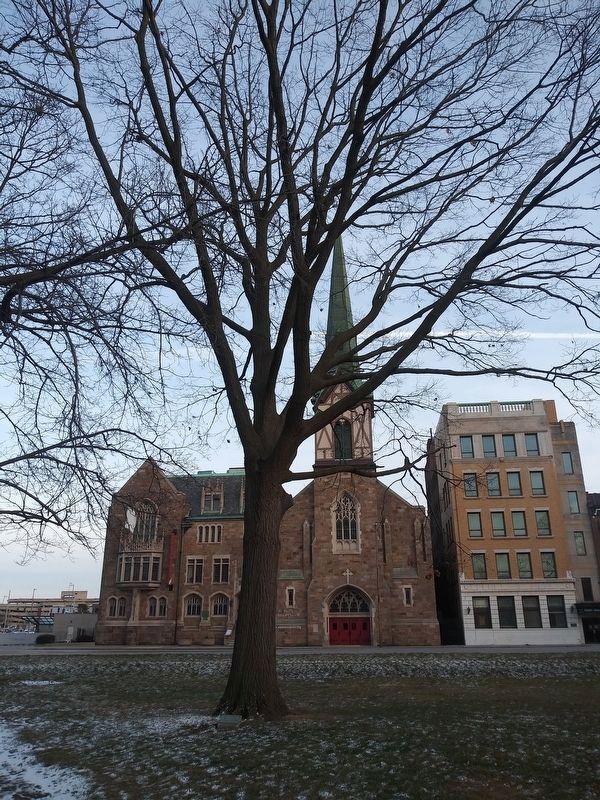 Toledo and Lucas County World War Memorial Tree and Marker. Click for full size. Toledo and Lucas County World War Memorial Tree and Marker image. Click for full size.