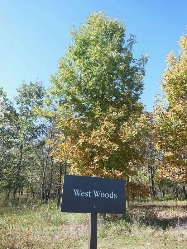 Marker For The West Woods image. Click for full size.
