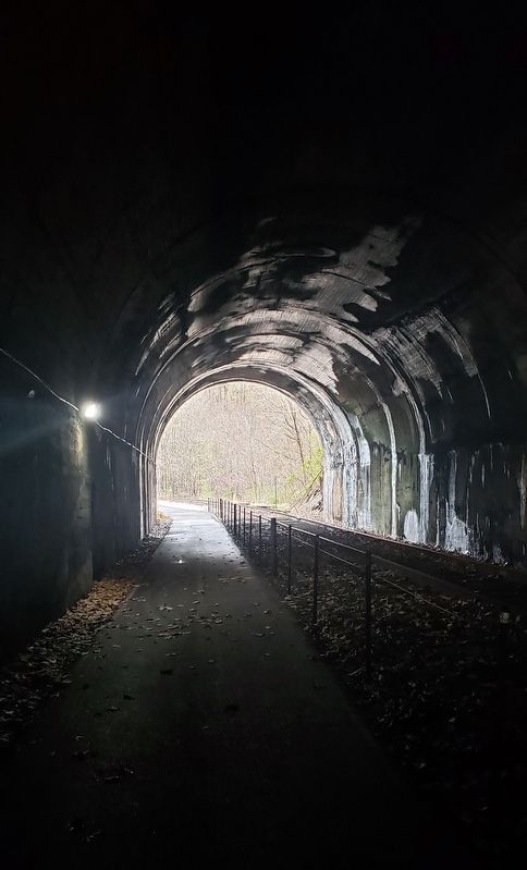 Inside Brush Tunnel image. Click for full size.