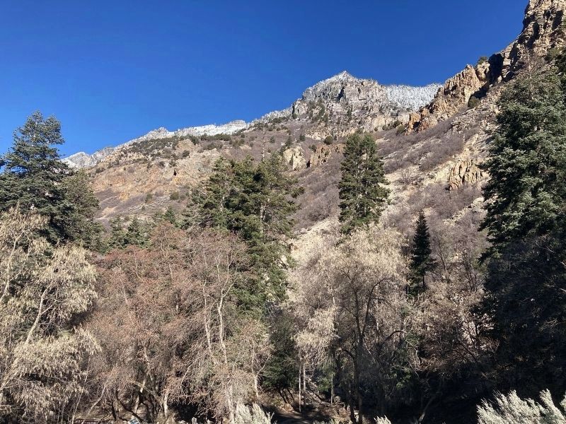 The area near the Native Restoration Marker. Click for full size. The area near the Native Restoration Marker image. Click for full size.