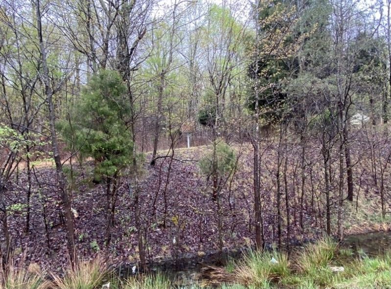Mystery Cemetery marker as seen from the roadway image. Click for full size.
